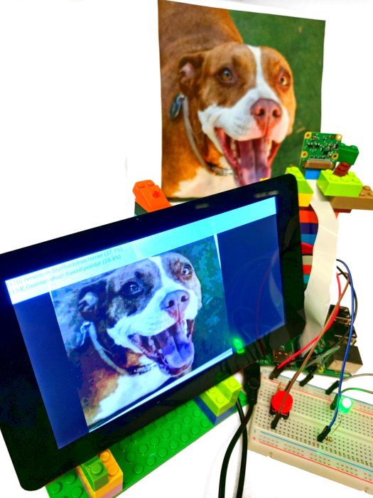TensorFlow sample identifying a dog's breed (American Staffordshire terrier) on a Raspberry Pi 3 with camera