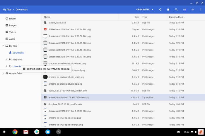 Chrome OS Linux Files Android Studio