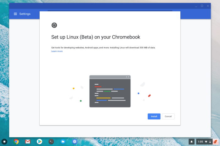 Chrome OS Linux Apps set up