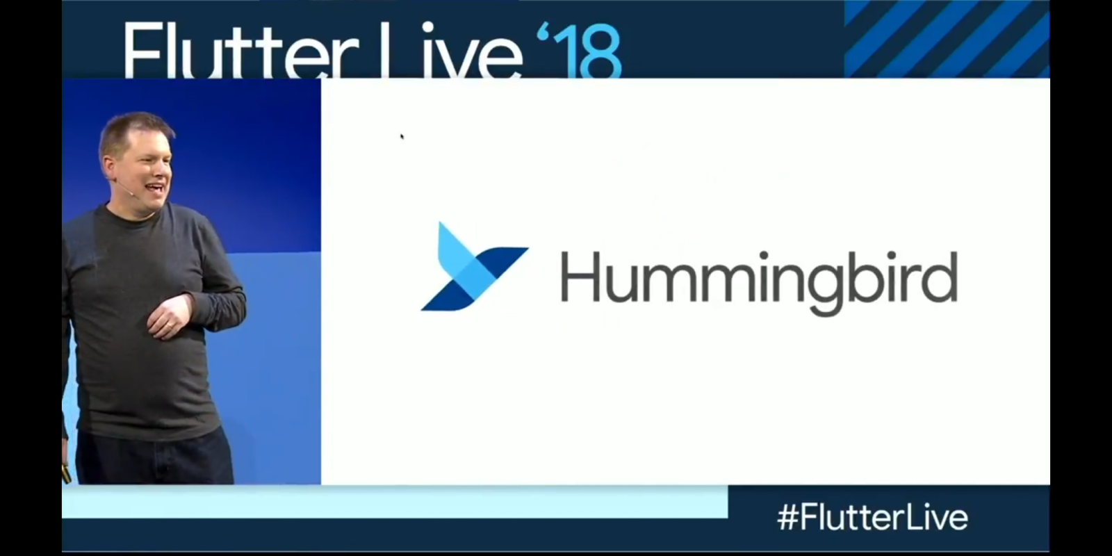Google Flutter Hummingbird logo