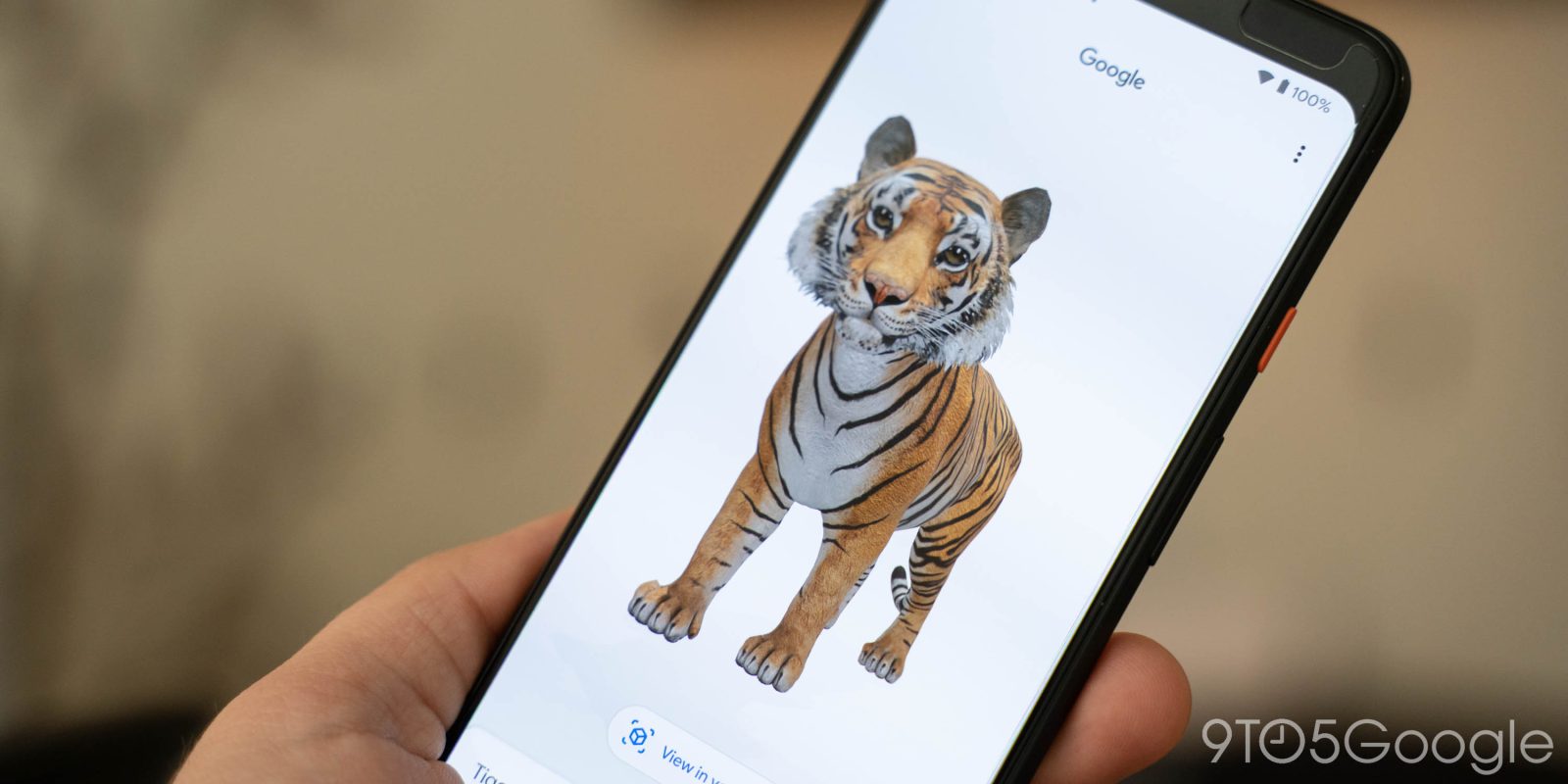 Google 3D tiger live view