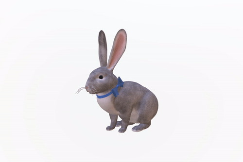 Easter Bunny Google 3D animal