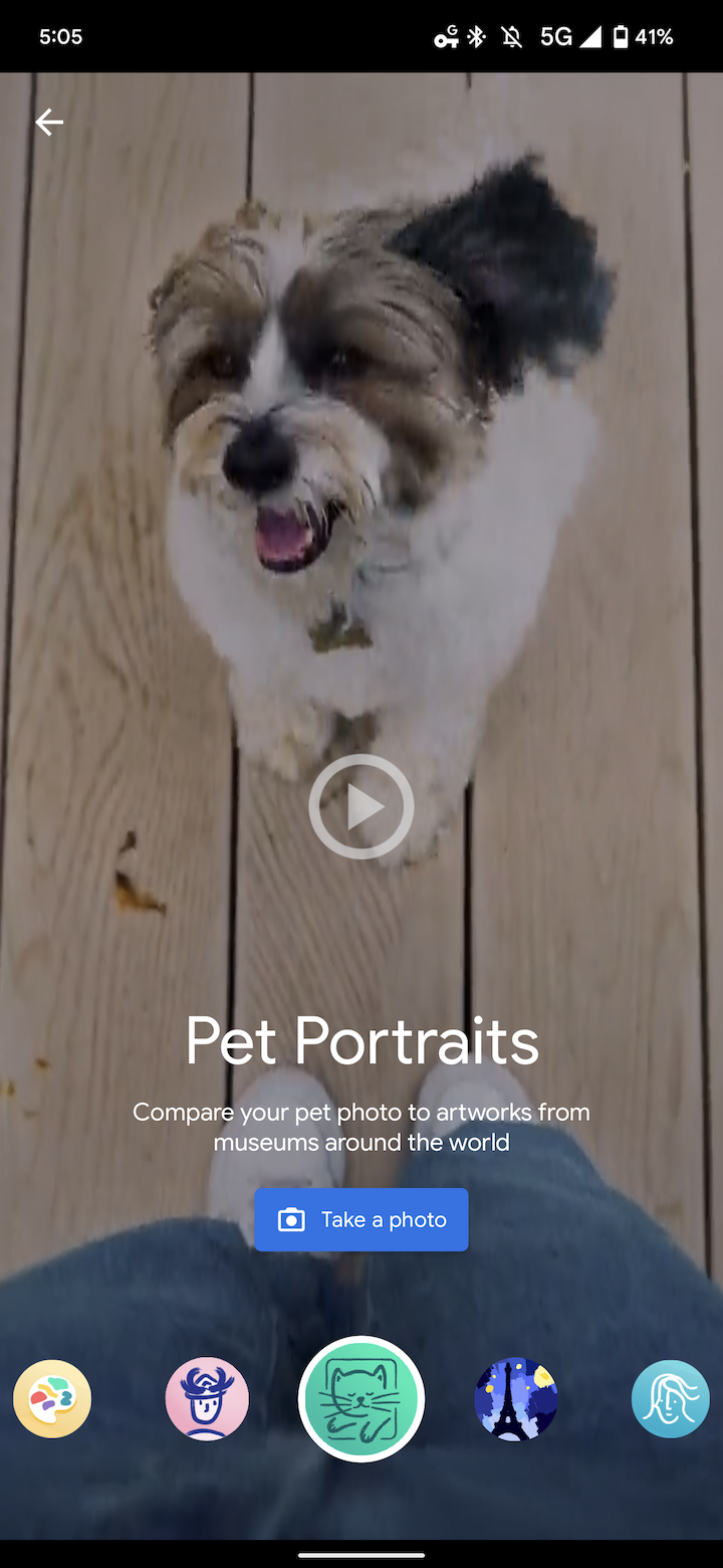 Google Arts Pet Portraits