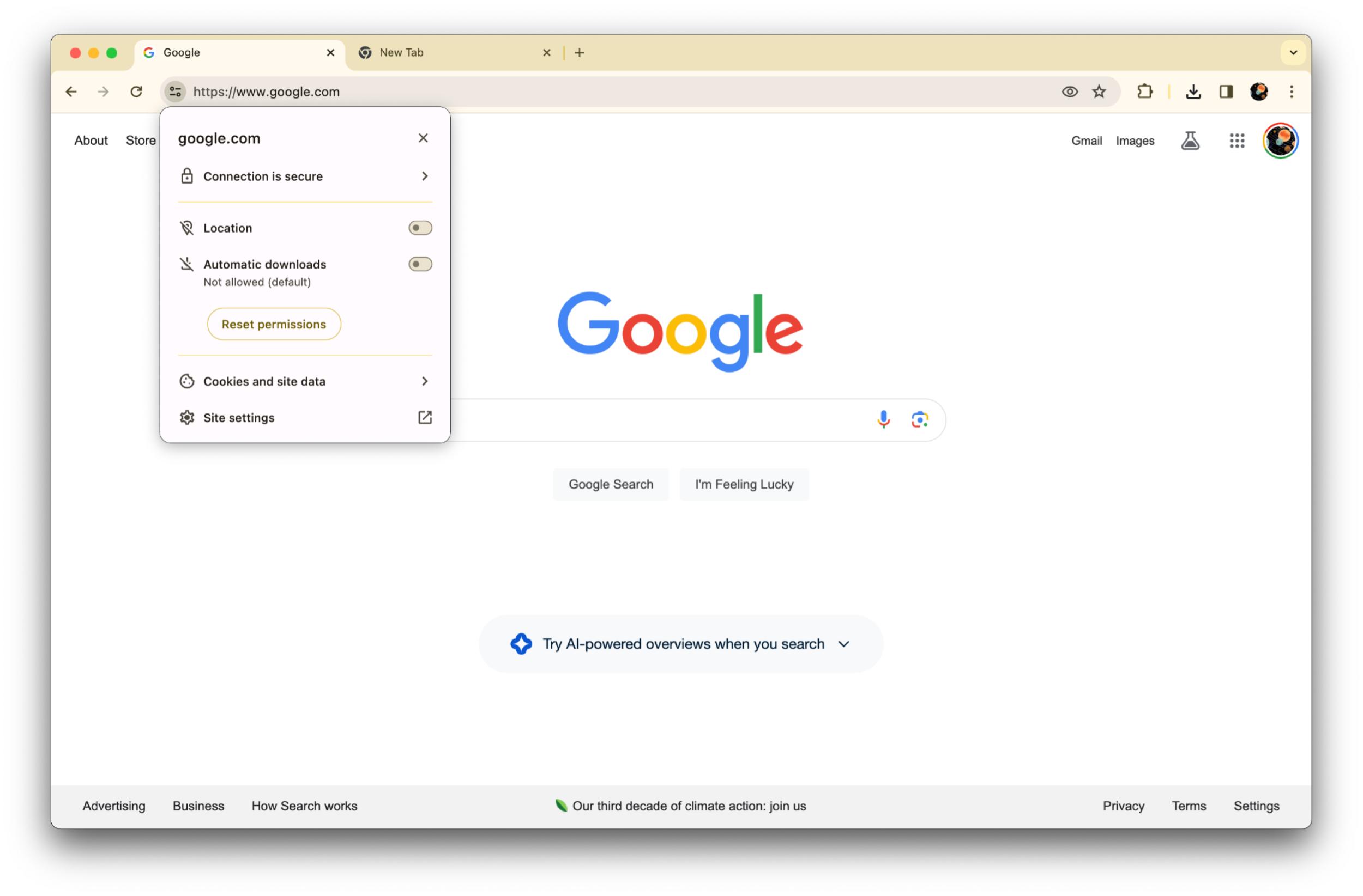 Google Chrome Material You redesign